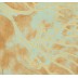 Digital Print Stole- Golden shade Digital Print Stole- Golden shade